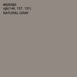 #928983 - Natural Gray Color Image
